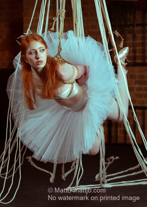 White Swan 9